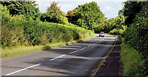 J2762 : The Ballynahinch Road, Lisburn by Albert Bridge