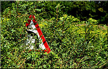 J2762 : "Bend to left" sign near Lisburn by Albert Bridge