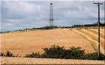 J2762 : Barley fields near Lisburn by Albert Bridge