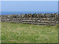 SX0487 : Cornish Hedge by Richard Law