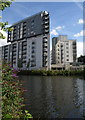 Flats by the Irwell