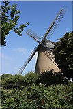 SZ6387 : Bembridge Windmill by Roger Pagram