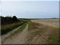 Roscarrock Farm track across the fields