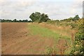 Harvested field nr Muston 