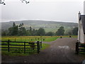 Looking across to Ardendrain from Convinth