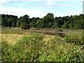 Estuary of Tarff Water