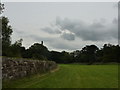 Meadow and chimney