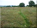 Path through a marshy meadow south of Llanwnog in August