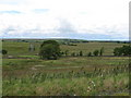 Countryside view north of A689