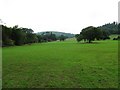 Pasture land east of Park Hatch