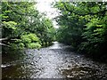 Glazert Water, near Milton of Campsie