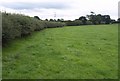 SJ7386 : Line of field path, Little Bollington by Derek Harper