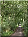 Footpath, Dunham New Park