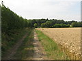 Lee Priory Farm track