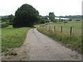 Track to Ponds Cottage