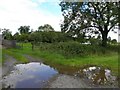 Clonagun Townland