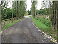 Bridleway from the A281 to Mill Farm