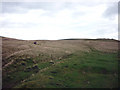 NY7006 : Bridleway, Great Ewe Fell by Karl and Ali