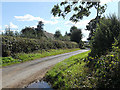 Lane near Stanton Lacy