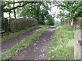 Fast Bridge over the Wey Arun Canal