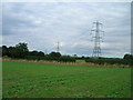 Farmland and pylons near Scamland