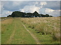 Track and rough pasture west of Cranberry Brow