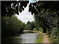 Solitary walker on the towpath