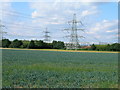 Farmland near Willow Tree Farm