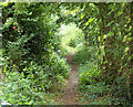 2010 : Covered walkway, Chelwood