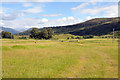 Track across the field near Moar