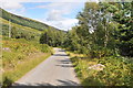 Road through Glen Lyon near Gallin