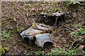 Derelict Austin A35