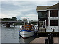 TQ1769 : Turks Pier, Kingston upon Thames by pam fray