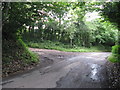 Bridleway NW from Fir Toll Road