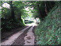 Concreted bridleway passing Burnt House