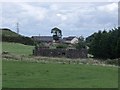 NS7782 : Castlerankine Mains (ruins) by Robert Murray