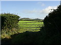 Field gate with a view near Velindre