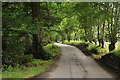 Tree lined road through Glen Lyon