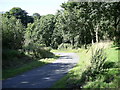 Cockshoot Wood,  near Welsh Hook