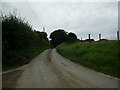 Minor road towards Sealyham Farm