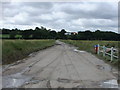 Ferry Lane, Fingringhoe