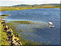 Strand Loch, Gott