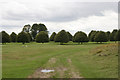 Avenue of trees, Bleheim Park