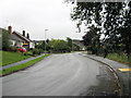 Looking up Carriage Drive