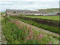 Foreside Lane and Denholme Velvets