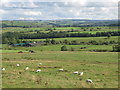 Rough pastures northwest of The Steel