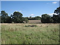 View towards Nettle Hill