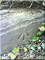 ST6071 : Benchmark on footpath step in Arno's Vale Cemetery by Roger Templeman