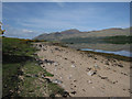 NN0839 : Loch Etive shoreline by Hugh Venables