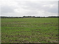 View towards Willoughton Grange